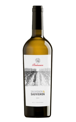 Budureasca Sauvignon &amp; Sauvignon Image 1