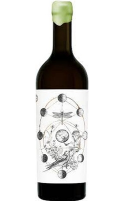Pătrar Shiraz Image 1