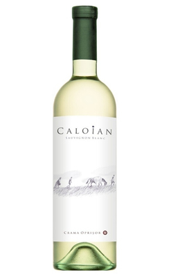 Caloian Image 1